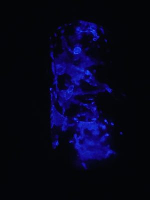Blue Glow Champion Color Change Dad Hat