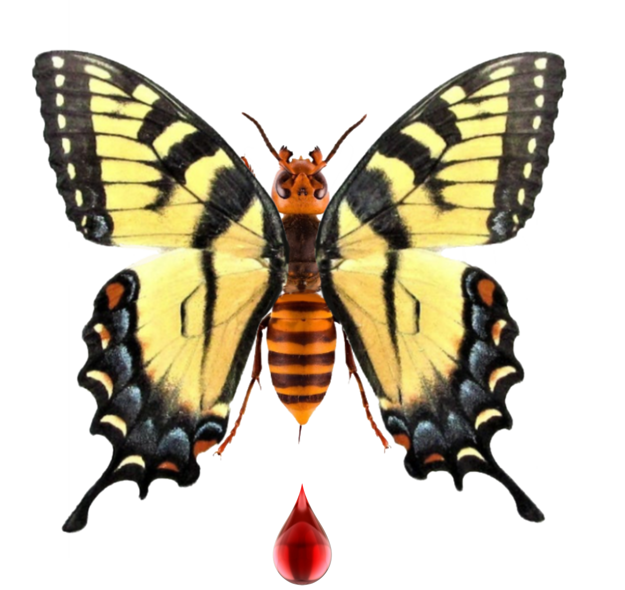 Killer Butterflies Floral Tshirt