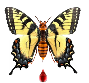 Killer Butterflies Floral Tshirt